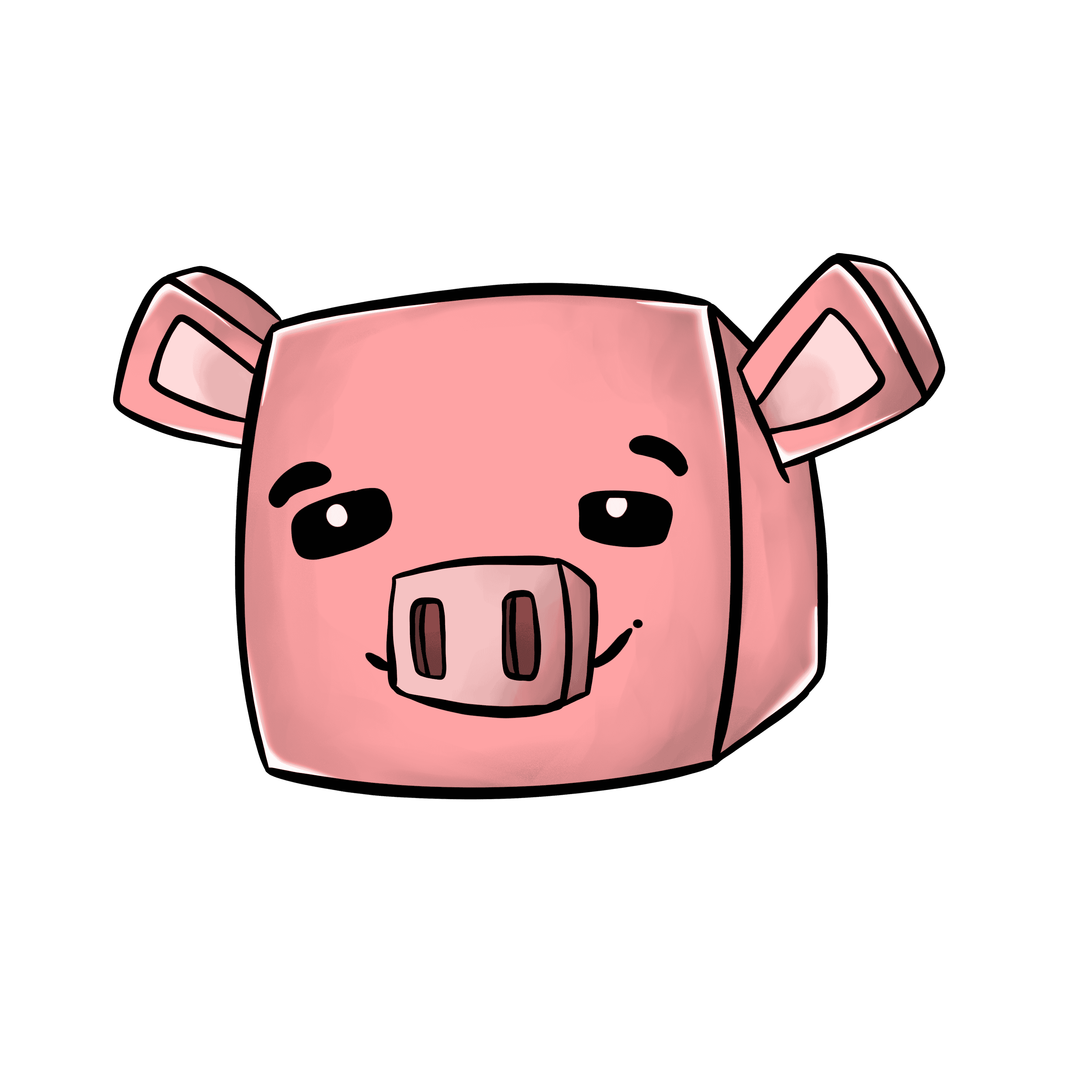 PIG PLAN